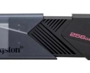 Memoria Flash Usb Kingston De 256 Gb 3.2 Exodia Onix Negra